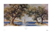 September Sailing Fine Art Print