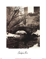 Central Park Bridges IV by Christopher Bliss - 11" x 14"