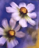 Daisies On Blue Fine Art Print