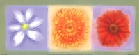 3 Flower Panel Fine Art Print