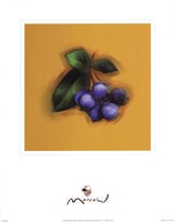 Blueberries Fine Art Print