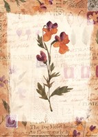 Posies with Patterns Fine Art Print