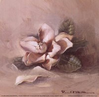 Sunlit Magnolia by Paul Mathenia - 6" x 6"