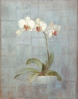 Elegant Orchids II Fine Art Print