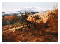 The Elk Fine Art Print
