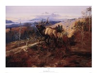 The Elk Fine Art Print