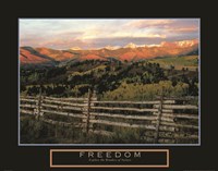 Freedom - Explore the Wonders of Nature Fine Art Print