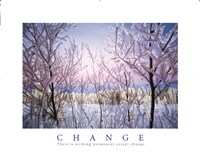 Change-Snowy Trees Fine Art Print
