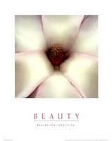 Beauty - White Magnolia by Mali Nave - 16" x 20"