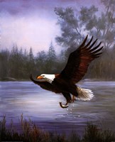 Eagle Fishing Framed Print
