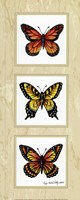 Monarch Butterflies Fine Art Print