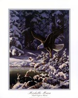 Eagle In Flight Fine Art Print