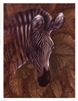 Safari Zebra Fine Art Print