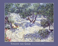 Olive Orchard Fine Art Print