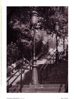Les Escaliers De Montmartre Fine Art Print