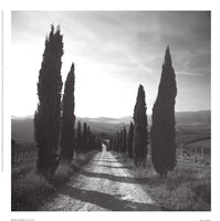 Mensano, Tuscany by Charlie Waite - 11" x 11" - $9.49