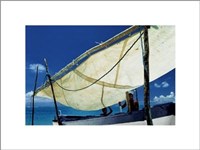 Bahia Beach, Brazil Fine Art Print