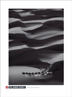 Amber Dunes Fine Art Print