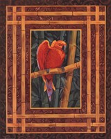 Mandarin Love Bird by Paul Brent - 16" x 20"