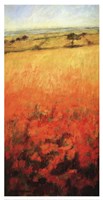 Field With Poppies by Ken Hildrew - 13" x 25"