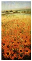 Field With Sunflowers by Ken Hildrew - 13" x 25"