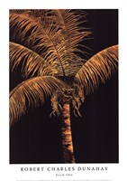 Palm Oro Fine Art Print