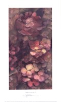 Tapestry II by S.G. Rose - 12" x 20"