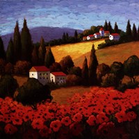 Tuscan Poppies Fine Art Print