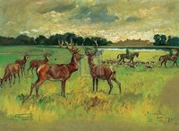 Badminton Fine Art Print