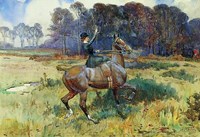 Fox Sighted Fine Art Print