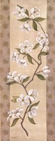 Asian White Cherry Fine Art Print