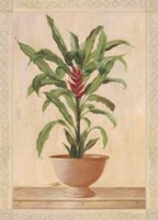 Potted Palm II Fine Art Print