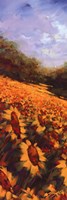 Flowers Of The Sun I by Michael Mckee - 12" x 36"