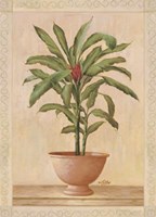 Potted Palm I Fine Art Print