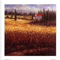 Tuscan Wheat Fine Art Print
