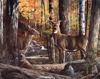 Broken Silence II Fine Art Print