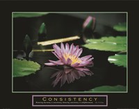 Consistency - Pond Flower Fine Art Print