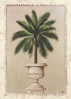 Palm Appeal I Fine Art Print