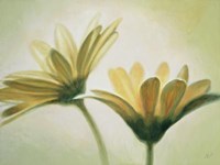 Evanescence I Fine Art Print