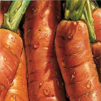 Carrots Fine Art Print