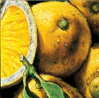 Lemons Fine Art Print