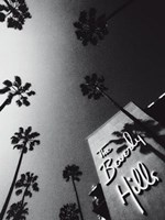 Beverly Hills California Fine Art Print