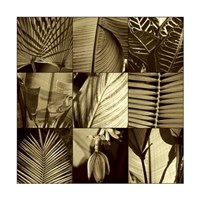 Tropical Leaves I Fine Art Print