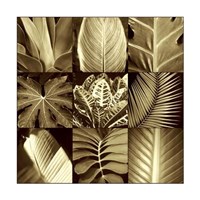 Tropical Leaves II Fine Art Print