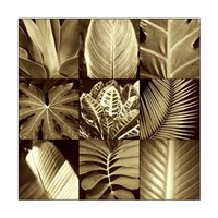 Tropical Leaves II Fine Art Print