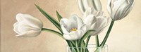 Vaso Con Tulipani Bianchi Fine Art Print
