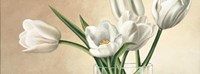 Vaso Con Tulipani Bianchi Fine Art Print