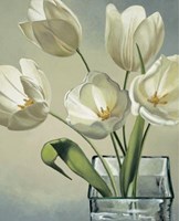 Tulipani In Vaso Fine Art Print
