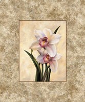 Perfection II Fine Art Print