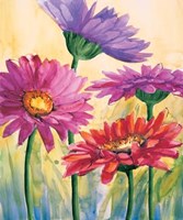 Gerbere In Rosa Fine Art Print